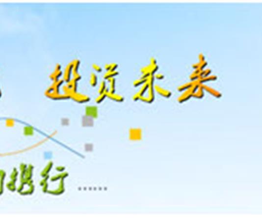 四川雁和投資有限公司 四川雁和投資有限公司